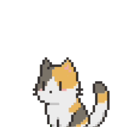 Card Cat